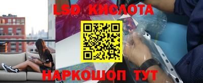 молекула духа Камышлов