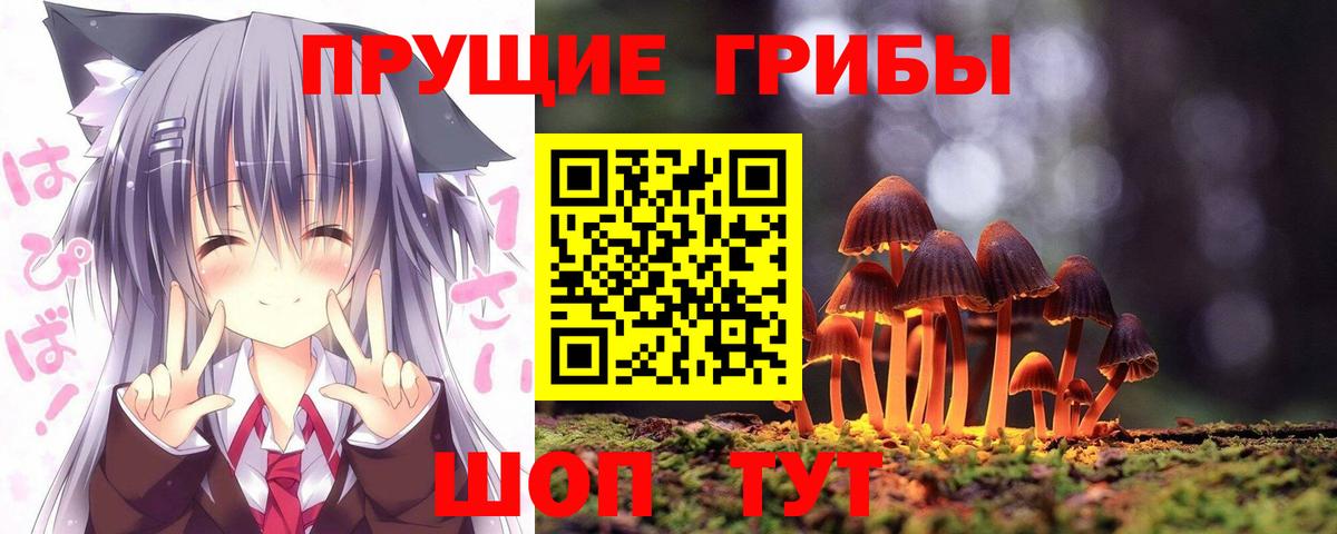 Псилоцибиновые грибы Psilocybine cubensis  Вход с VPN  Галлюциногенные грибы мухоморы  Балтийск 