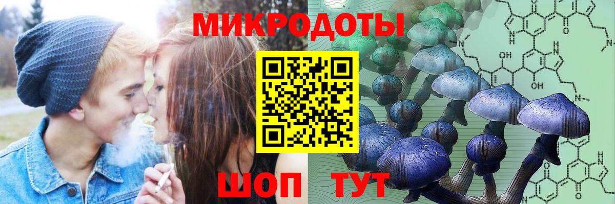 Галлюциногенные грибы Magic Shrooms Балтийск